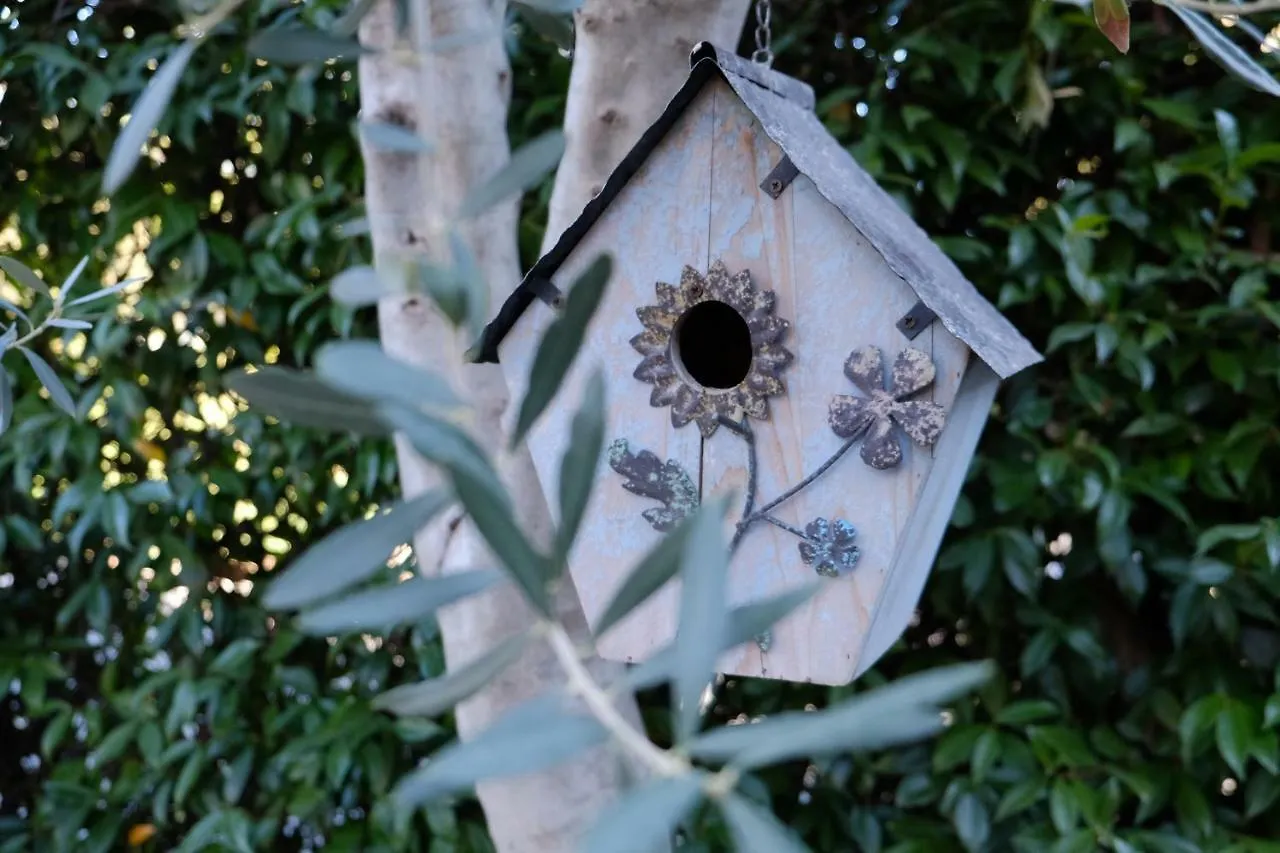 B&B Fontanelle Romane 0*, Rome Italy